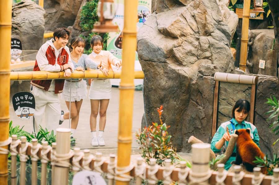 Hong Kong: Ocean Park Entry Ticket - Key points to know before you go