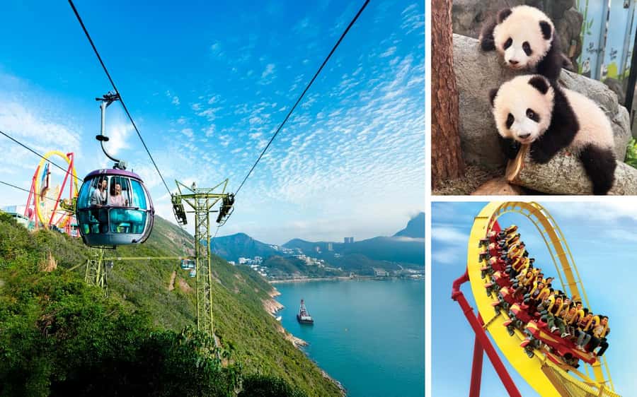 Hong Kong: Ocean Park Entry Ticket - Sloths, meerkats, and tortoises slow the pace