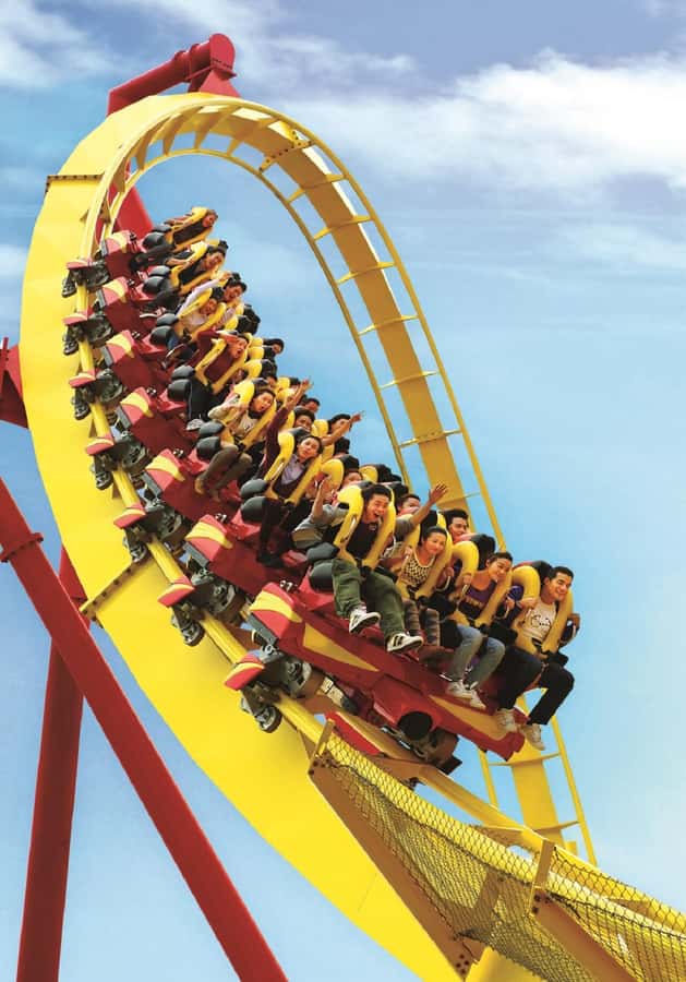 Hong Kong: Ocean Park Entry Ticket + Local Style Set Meal - Getting to Ocean Park and getting your bearings