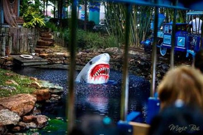 Houston City Tour and Downtown Aquarium All Rides Pass - How long the experience takes