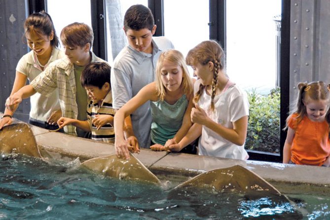Houston City Tour and Downtown Aquarium All Rides Pass - Who will enjoy this Houston combination?