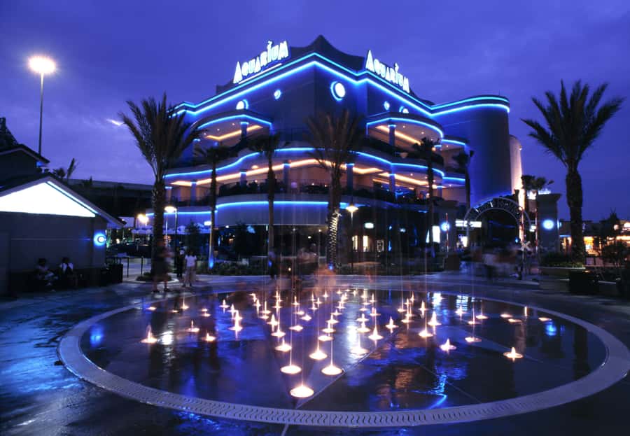 Houston: Downtown Aquarium All Day Pass - What Your $25 Pass Covers