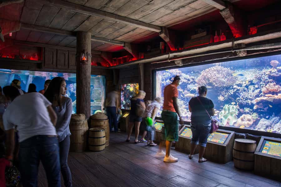 Houston: Downtown Aquarium All Day Pass - Start With the Eight Themed Aquarium Areas