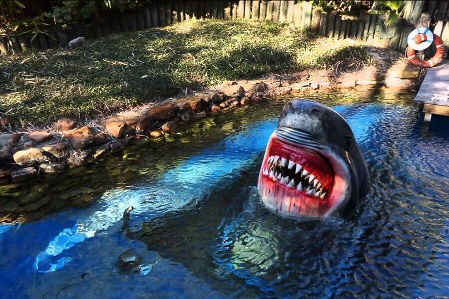 Houston Tour and Aquarium Ticket - Key points to know before booking