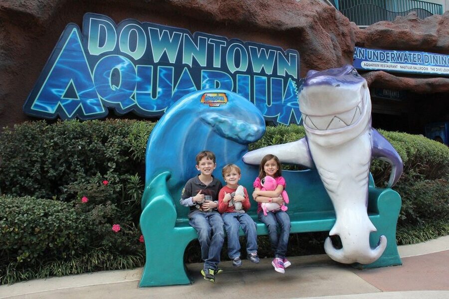 Houston Tour and Aquarium Ticket - Weather, comfort, and access