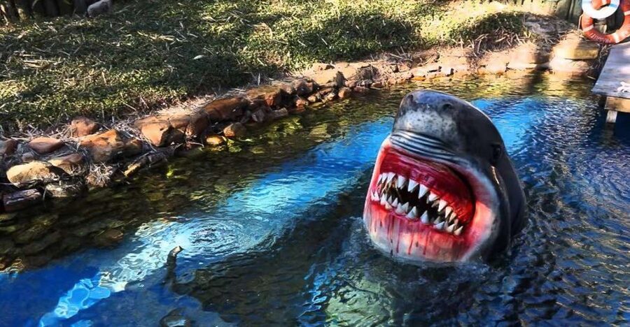 Houston Tour and Aquarium Ticket - How to plan your day around the departure