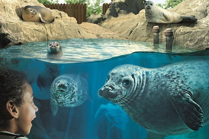 Hunstanton SEA LIFE Sanctuary General Admission Ticket - Tropical Reef fish and a warm trip to Amazonia Rivers