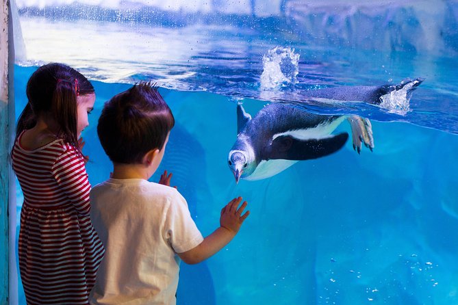 Hunstanton SEA LIFE Sanctuary General Admission Ticket - Is $21.92 per person good value?