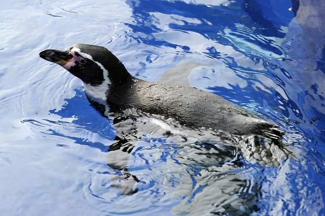 Hunstanton SEA LIFE Sanctuary General Admission Ticket - Starting with the Rainforest Rangers