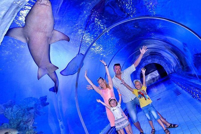 Hurghada Grand Aquarium Tour with Hotel Transfer – Hurghada - From Your Hotel to Villages Road