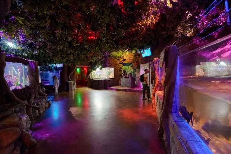 Inbursa Aquarium Entry Ticket with VR Option - Key Points Before You Book