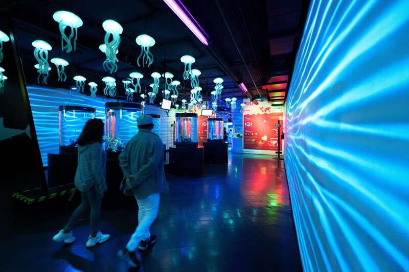 Inbursa Aquarium Entry Ticket with VR Option - Should You Book the Acuario Inbursa Ticket?
