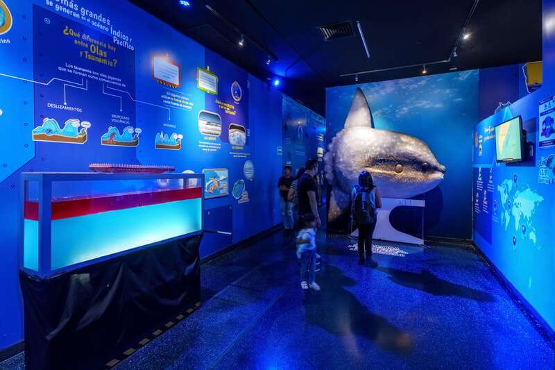 Inbursa Aquarium Entry Ticket with VR Option - Arriving at Acuario Inbursa With Priority Entry
