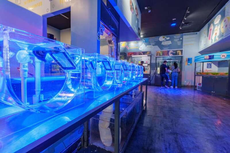 Inbursa Aquarium Entry Ticket with VR Option - What the Virtual Reality Upgrade Really Adds