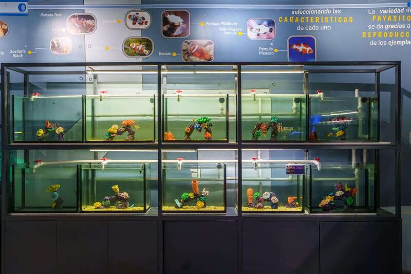 Inbursa Aquarium Entry Ticket with VR Option - What You Can Bring, and What Must Stay Outside