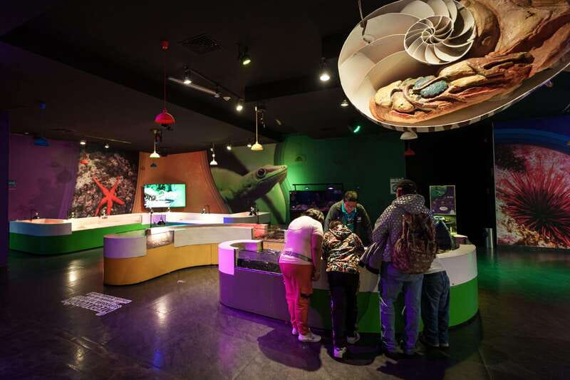 Inbursa Aquarium Entry Ticket with VR Option - Is the $20 Price Good Value?