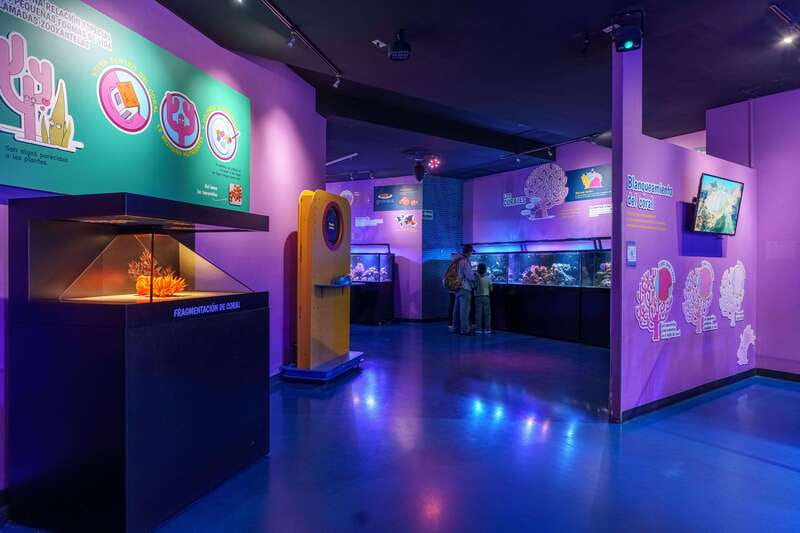 Inbursa Aquarium Entry Ticket with VR Option - Who Will Enjoy This Aquarium Most?