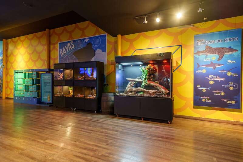 Inbursa Aquarium Entry Ticket with VR Option - Sharks, Seahorses, and Turtles in the Main Exhibits