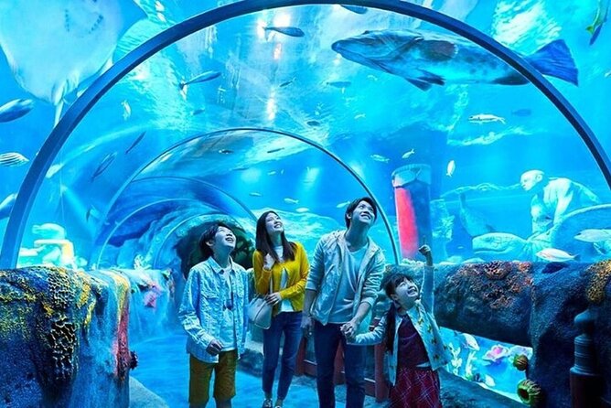 Istanbul Aquarium Admission with Hotel Transfers - Key points at a glance