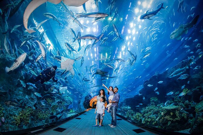 Istanbul Aquarium Admission with Hotel Transfers - A useful break from Istanbul’s old streets