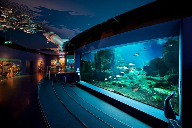 Istanbul Aquarium Admission with Hotel Transfers - Who will enjoy this outing most?