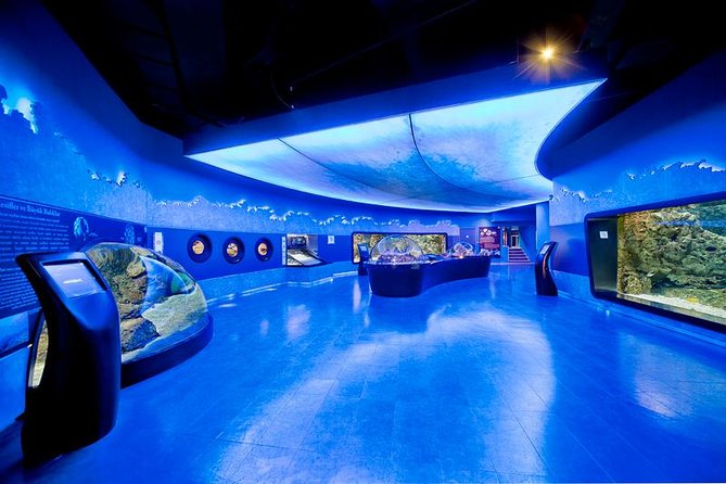 Istanbul Aquarium and Aqua Florya Independent Shopping Trip - Key points to know before booking
