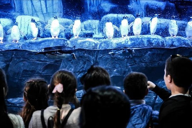 Istanbul Aquarium and Aqua Florya Independent Shopping Trip - Reaching Aqua Florya from central Istanbul
