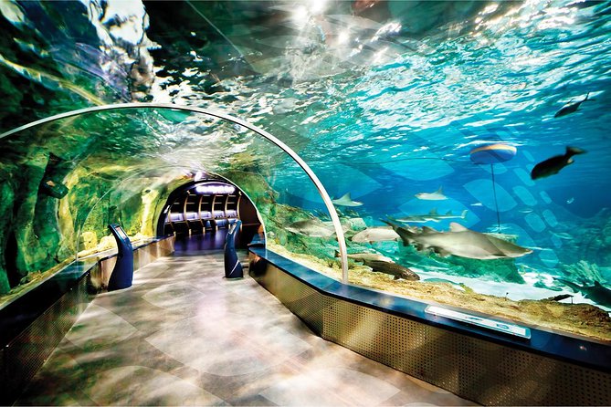 Istanbul Aquarium and Aqua Florya Independent Shopping Trip - Aqua Florya gives you a second kind of afternoon
