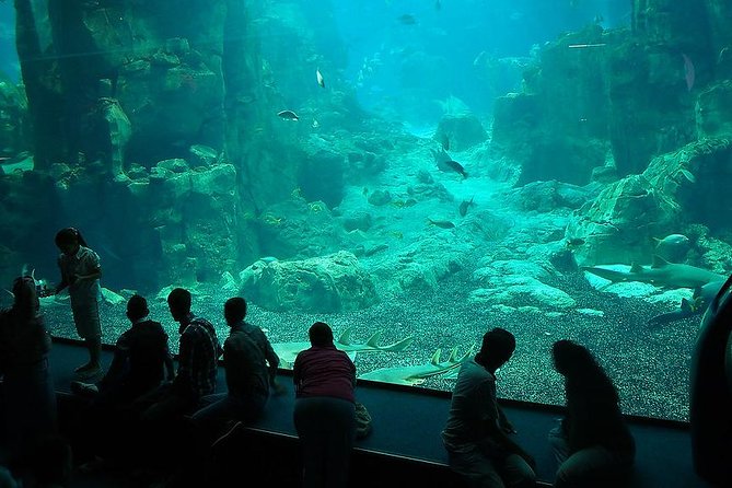 Istanbul Aquarium and Aqua Florya Independent Shopping Trip - Who will enjoy this most