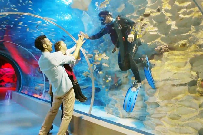 Istanbul Aquarium and Aqua Florya Independent Shopping Trip - Inside Istanbul Aquarium’s 16 aquatic zones