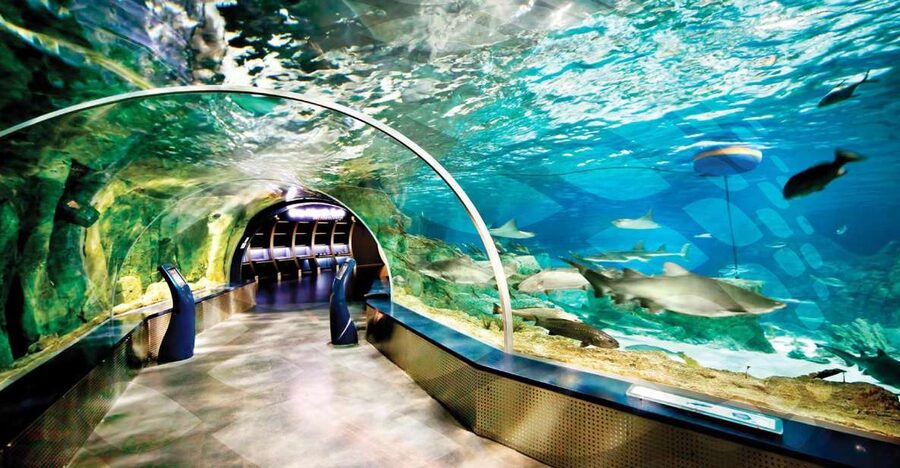 Istanbul Aquarium and Aqua Florya Shopping Mall Tour - From your Istanbul hotel to the Marmara coast