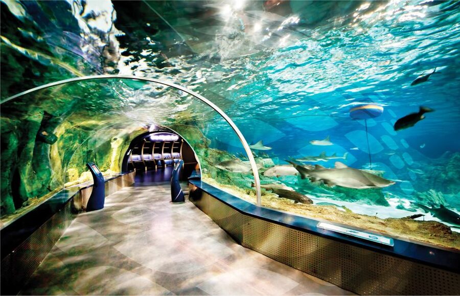 Istanbul Aquarium and Aqua Florya Shopping Mall Tour - The Amazon rainforest and the penguin area