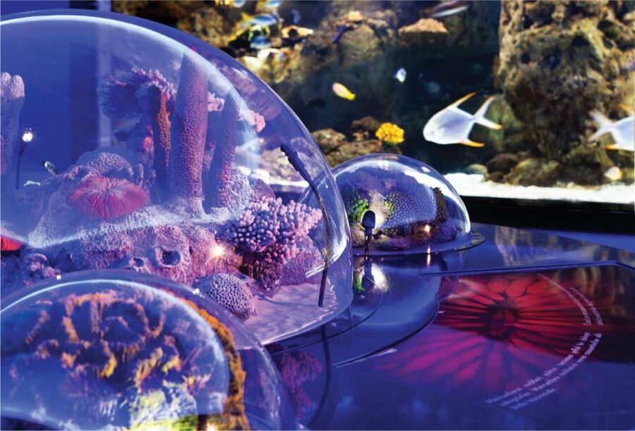 Istanbul Aquarium and Aqua Florya Shopping Mall Tour - The 5D cinema adds fog, wind, and water