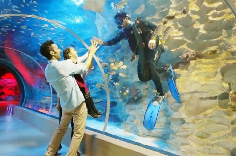 Istanbul Aquarium and Aqua Florya Shopping Mall Tour - Is $177 a fair price?
