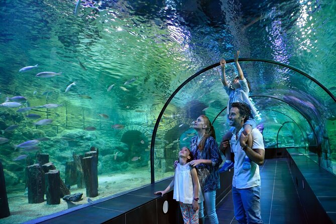 Istanbul Aquarium and Shopping Tour with Hotel Transfers - Why Florya’s aquarium is worth the ride