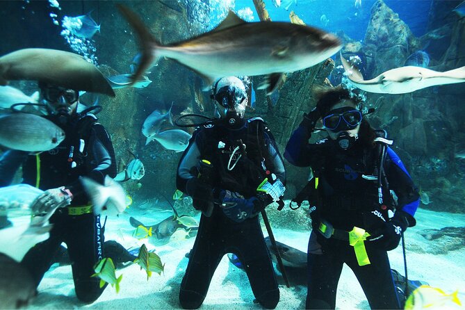 Istanbul Aquarium and Shopping Tour with Hotel Transfers - The unexpected bonus of reptiles and frogs