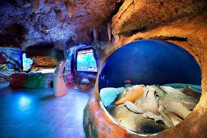 Istanbul Aquarium and Shopping Tour with Hotel Transfers - Shopping after the aquarium