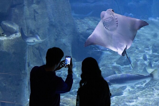 Istanbul Aquarium and Shopping Tour with Hotel Transfers - What the hotel transfer changes