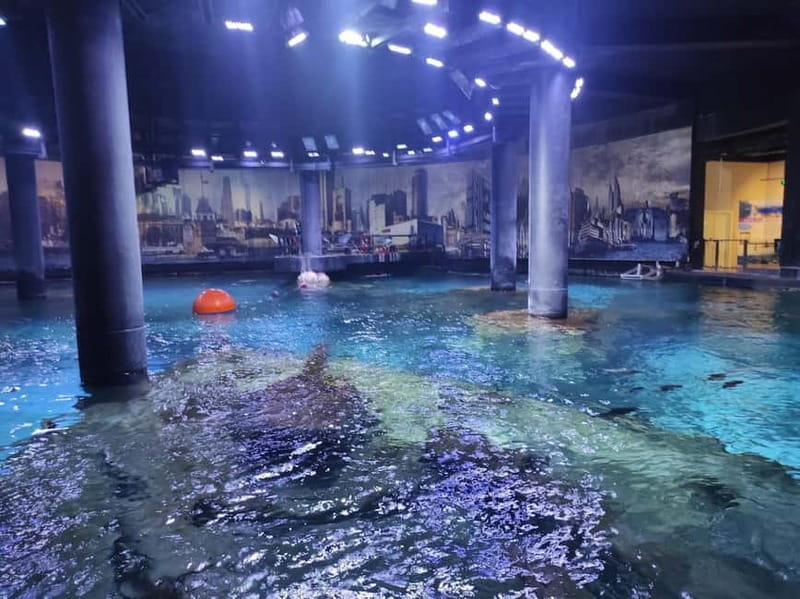 Istanbul: Aquarium Ticket and Round Trip Shuttle from Taksim - Should you book the Taksim aquarium package?
