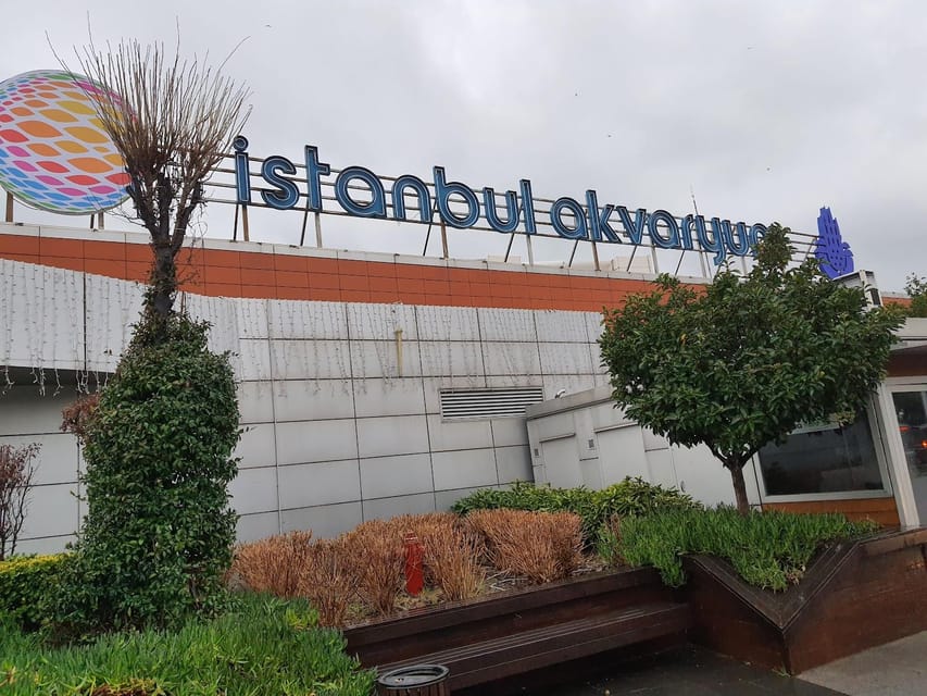 Istanbul: Aquarium Ticket and Round Trip Shuttle from Taksim - What makes the marine displays worth your time