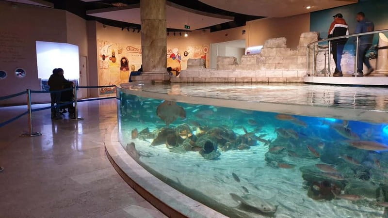 Istanbul: Aquarium Ticket and Round Trip Shuttle from Taksim - How long should you plan to stay?