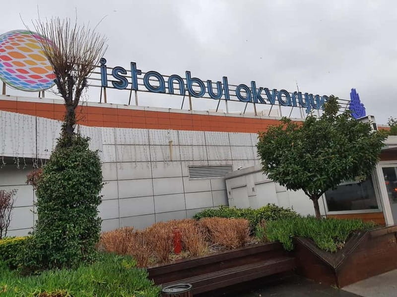 Istanbul: Aquarium Ticket and Round Trip Shuttle from Taksim - Small details that make the day easier