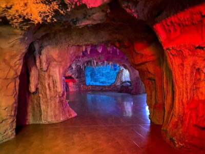 Istanbul: Aquarium Ticket with Shuttle Bus from Sultanahmet