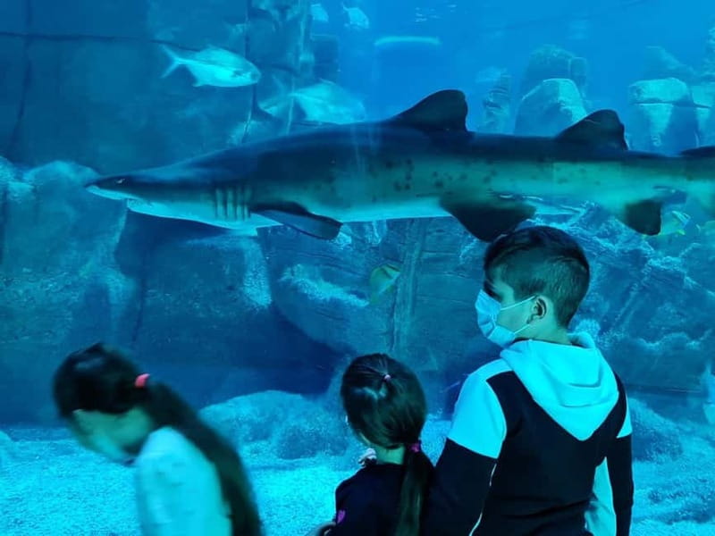 Istanbul: Aquarium Ticket with Shuttle Bus from Sultanahmet - Who should book this aquarium trip?