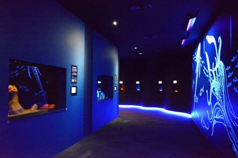Kagoshima Aquarium Admission Ticket - Key Points to Know Before You Go