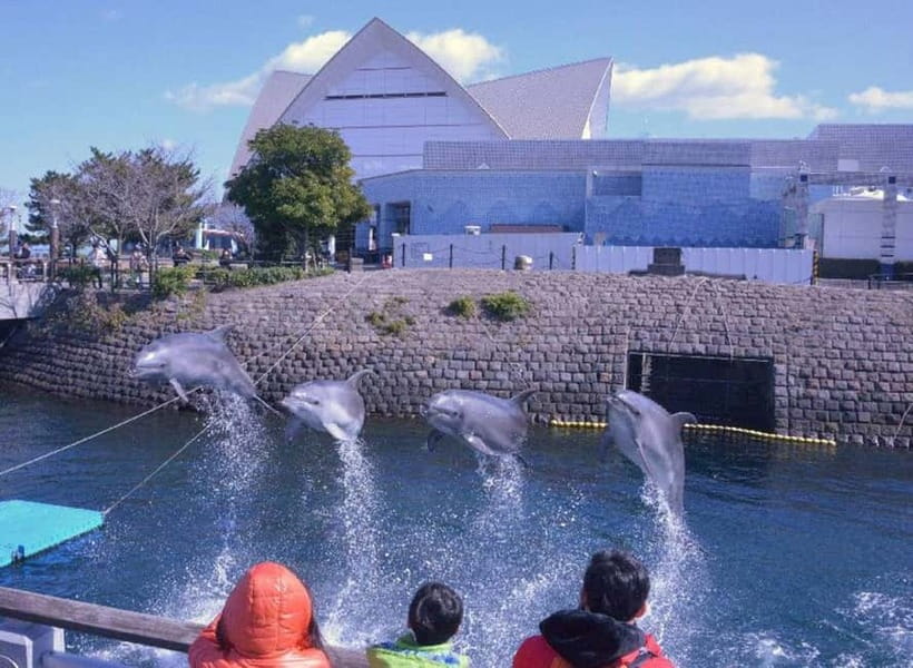 Kagoshima Aquarium Admission Ticket - Touch Pools Offer a Hands-On Break