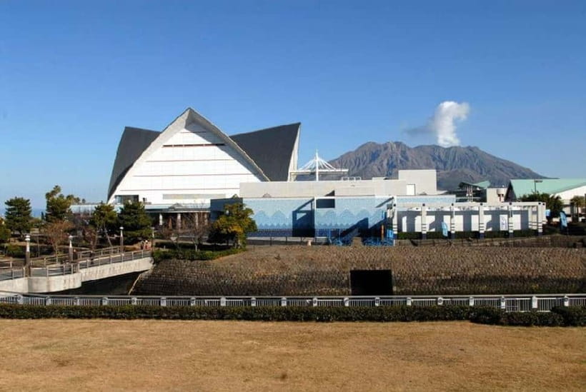 Kagoshima Aquarium Admission Ticket - Kinko Bay and Sakurajima Add a Sense of Place