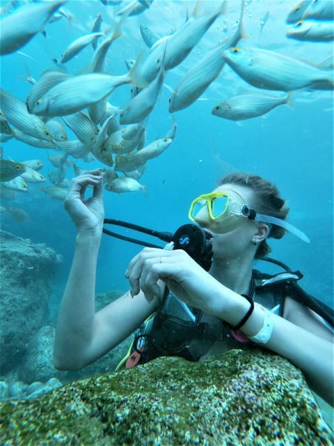 Kemer: Scuba Diving Experience in Aquarium and Kiris Bays - Starting at Kemer Marina