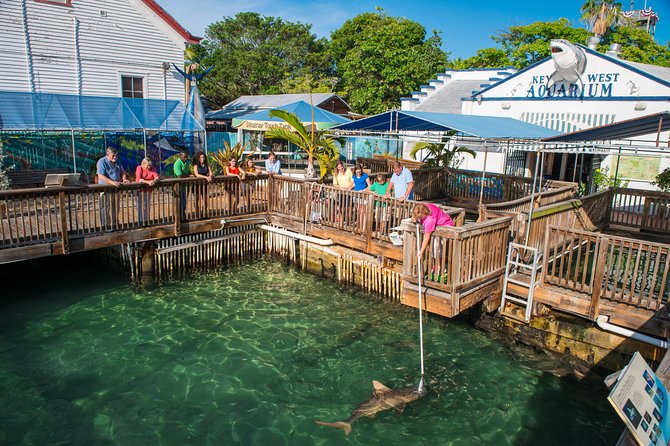 Key West Aquarium Admission - Location at Mallory Square is a major advantage