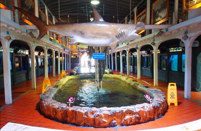 Key West Aquarium Tickets - A practical visit from opening to closing